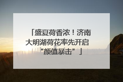 盛夏荷香浓！济南大明湖荷花率先开启“颜值暴击”