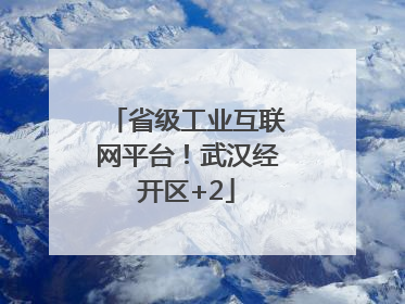 省级工业互联网平台！武汉经开区+2