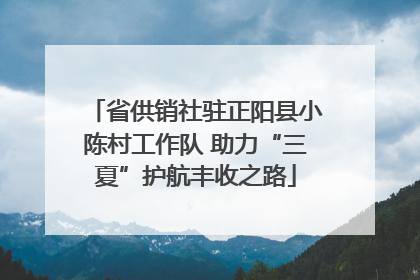 省供销社驻正阳县小陈村工作队 助力“三夏”护航丰收之路