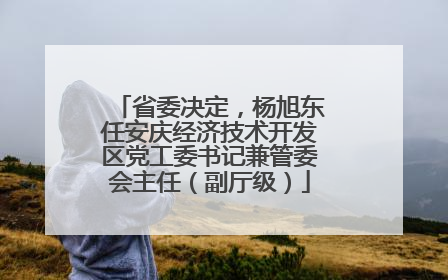 省委决定，杨旭东任安庆经济技术开发区党工委书记兼管委会主任（副厅级）