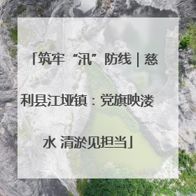 筑牢“汛”防线｜慈利县江垭镇：党旗映溇水 清淤见担当