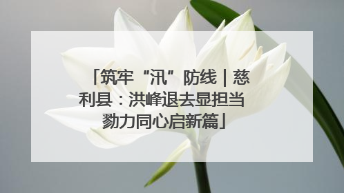 筑牢“汛”防线｜慈利县：洪峰退去显担当 勠力同心启新篇