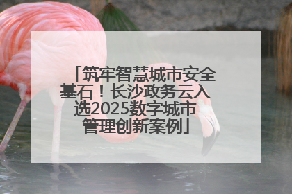 筑牢智慧城市安全基石！长沙政务云入选2025数字城市管理创新案例