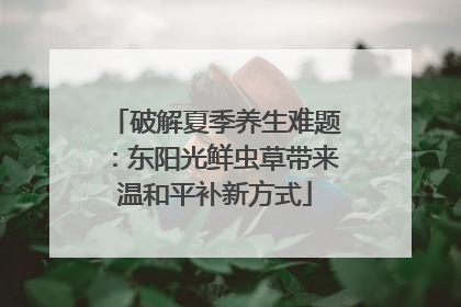 破解夏季养生难题：东阳光鲜虫草带来温和平补新方式