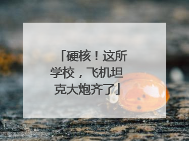 硬核！这所学校，飞机坦克大炮齐了
