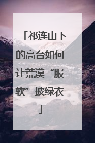 祁连山下的高台如何让荒漠“服软”披绿衣
