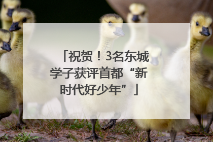 祝贺！3名东城学子获评首都“新时代好少年”