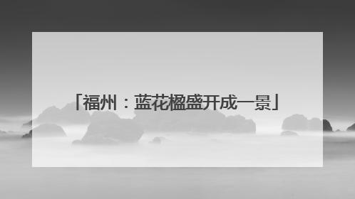 福州：蓝花楹盛开成一景