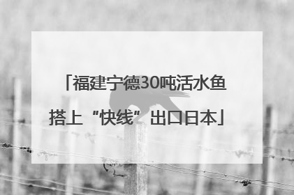 福建宁德30吨活水鱼搭上“快线”出口日本