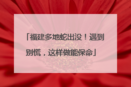 福建多地蛇出没！遇到别慌，这样做能保命