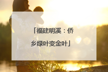 福建明溪：侨乡绿叶变金叶