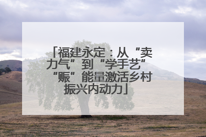 福建永定：从“卖力气”到“学手艺”“赈”能量激活乡村振兴内动力