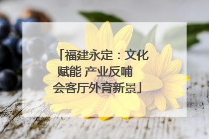 福建永定：文化赋能 产业反哺 会客厅外育新景