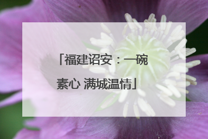 福建诏安：一碗素心 满城温情