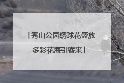 秀山公园绣球花盛放 多彩花海引客来