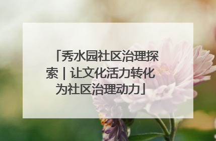秀水园社区治理探索｜让文化活力转化为社区治理动力