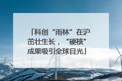 科创“雨林”在沪茁壮生长，“硬核”成果吸引全球目光