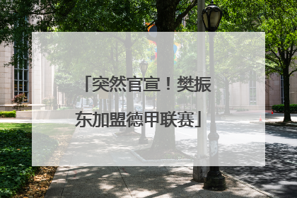 突然官宣！樊振东加盟德甲联赛