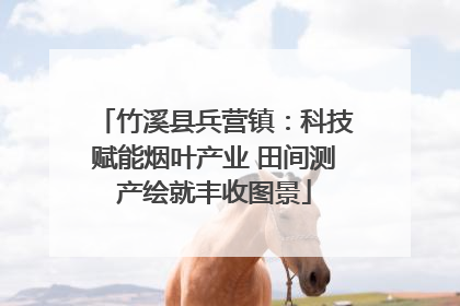 竹溪县兵营镇：科技赋能烟叶产业 田间测产绘就丰收图景