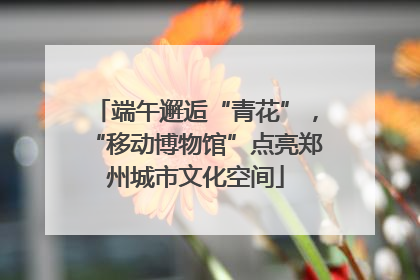 端午邂逅“青花”，“移动博物馆”点亮郑州城市文化空间