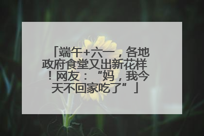 端午+六一，各地政府食堂又出新花样！网友：“妈，我今天不回家吃了”