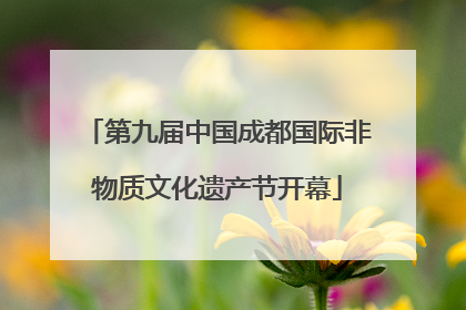 第九届中国成都国际非物质文化遗产节开幕
