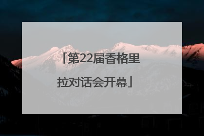 第22届香格里拉对话会开幕