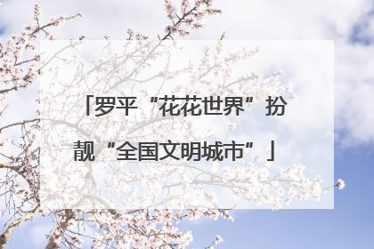 罗平“花花世界”扮靓“全国文明城市”