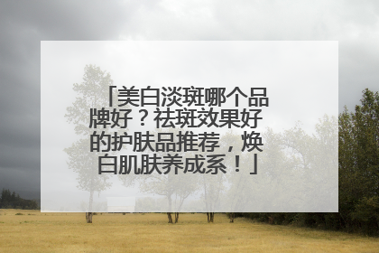美白淡斑哪个品牌好？祛斑效果好的护肤品推荐，焕白肌肤养成系！