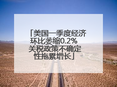 美国一季度经济环比萎缩0.2% 关税政策不确定性拖累增长