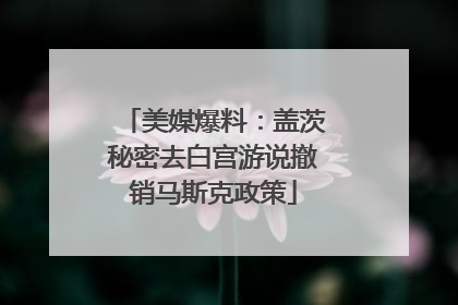 美媒爆料：盖茨秘密去白宫游说撤销马斯克政策