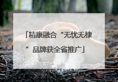 精康融合“无忧无棣”品牌获全省推广