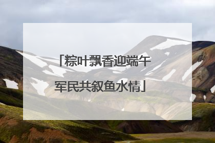 粽叶飘香迎端午 军民共叙鱼水情