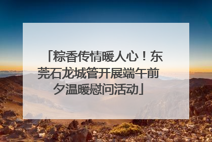 粽香传情暖人心！东莞石龙城管开展端午前夕温暖慰问活动
