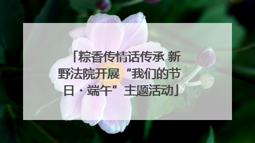 粽香传情话传承 新野法院开展“我们的节日・端午”主题活动