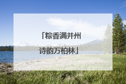 粽香满并州 诗韵万柏林