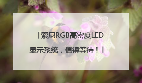 索尼RGB高密度LED显示系统，值得等待！
