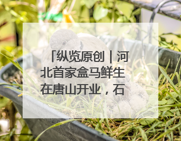 纵览原创｜河北首家盒马鲜生在唐山开业，石家庄门店预计8月开业