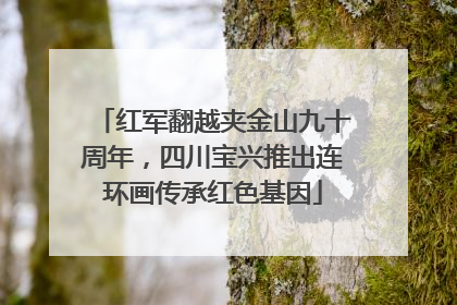 红军翻越夹金山九十周年，四川宝兴推出连环画传承红色基因