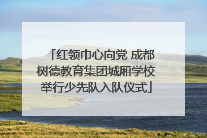 红领巾心向党 成都树德教育集团城厢学校举行少先队入队仪式