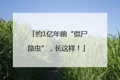 约1亿年前“僵尸昆虫”，长这样！
