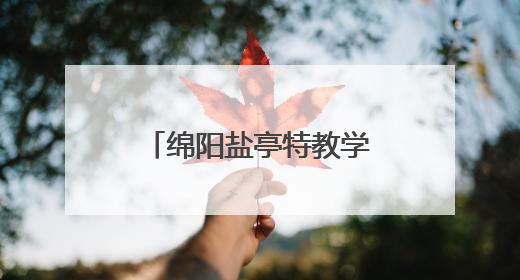 绵阳盐亭特教学校在绵阳市第四届“体育复健进校园”联赛中获佳绩