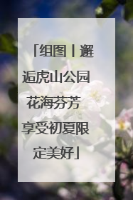 组图丨邂逅虎山公园花海芬芳 享受初夏限定美好