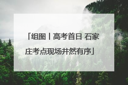 组图丨高考首日 石家庄考点现场井然有序