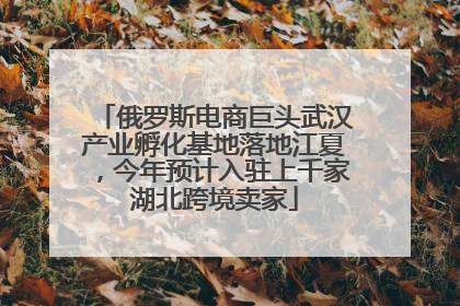 俄罗斯电商巨头武汉产业孵化基地落地江夏，今年预计入驻上千家湖北跨境卖家