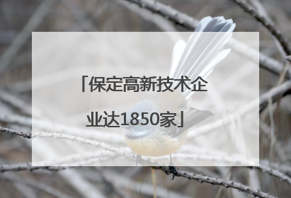 保定高新技术企业达1850家
