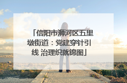 信阳市浉河区五里墩街道：党建穿针引线 治理织就锦图