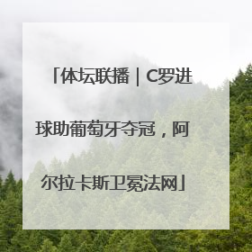 体坛联播｜C罗进球助葡萄牙夺冠，阿尔拉卡斯卫冕法网