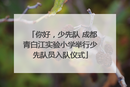 你好，少先队 成都青白江实验小学举行少先队员入队仪式
