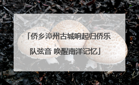 侨乡漳州古城响起归侨乐队弦音 唤醒南洋记忆
